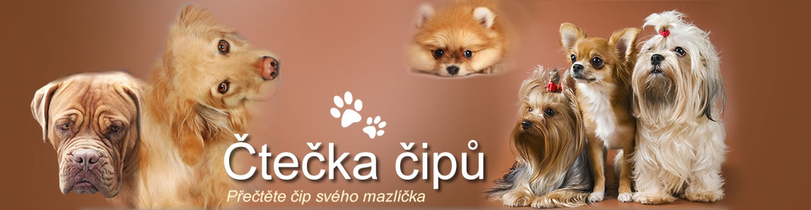 teka ip
